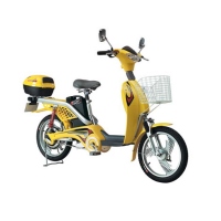 Electric Bike