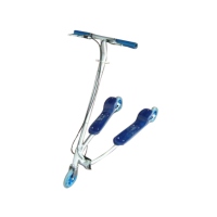 Frog Swing Scooter Frog Swing Scooter