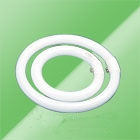 Circular Fluorescent Tube