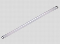 Fluorescent Lamp