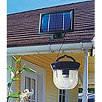 Solar Lamps Solar Lamps