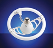 Compact Fluorescent Lamp Compact Fluorescent Lamp