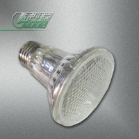 LED Par20