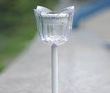 Stainless Steel Light Stainless Steel Light