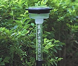 Bubble Light Bubble Light