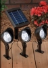 Solar Lights