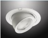 Downlight