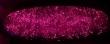 Ceiling Fiberoptic Lamps