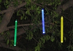 Treelight 