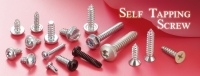 Self Tapping Screw