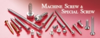 Machine Screw & Special Screw