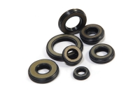Gas Spring Seals Gas Spring Seals