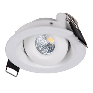 4-8W High Quality Customized COB LED Downlight with CE, RoHS Approving 4-8W High Quality Customized COB LED Downlight with CE, RoHS Approving
