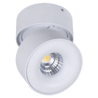 Charming LED Surface Mounted Spot Light for Europe, Australia