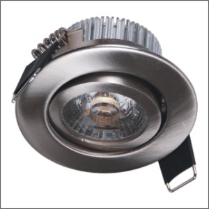 Adjustable COB LED Down Light