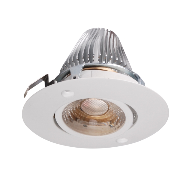 Tilt COB LED down light