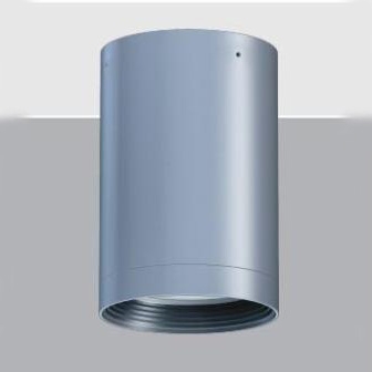 Ceiling Lighting Ceiling Lighting