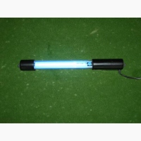 Neon Lights Neon Lights