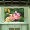 LED Displays