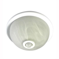 Ceiling Light