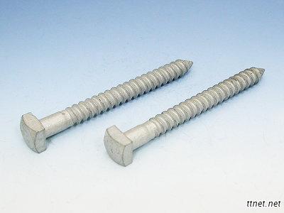 Lag Screw