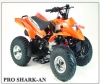 Pro Shark-an Model