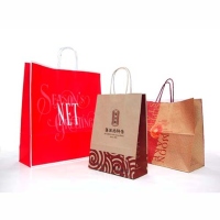 Paper Shopping Bag with Twisted Paper Handle