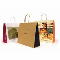 Paper Shopping Bag with Twisted Paper Handle