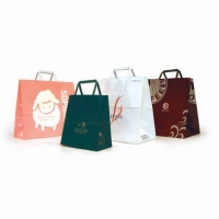 Paper Shopping Bag with Folded Flat Paper Handle