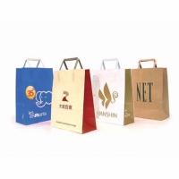 Paper Shopping Bag with Folded Flat Paper Handle