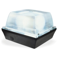 Explosion Proof Lighting