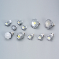 LED 面光源球型灯泡