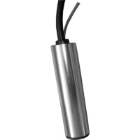 Electronic Antenna Electronic Antenna