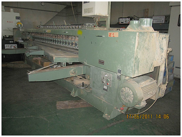 Segmented Pad Sander Segmented Pad Sander