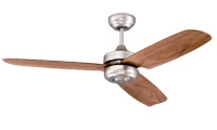 Ceiling Fan Ceiling Fan
