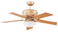Ceiling Fan Ceiling Fan