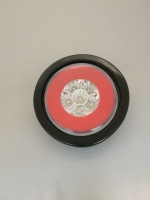 LED Rear Combined Light 