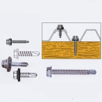 Self-tapping Screws