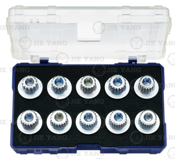 BMW wheel screw lock socket set(P)