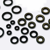 Oil seal for Marine