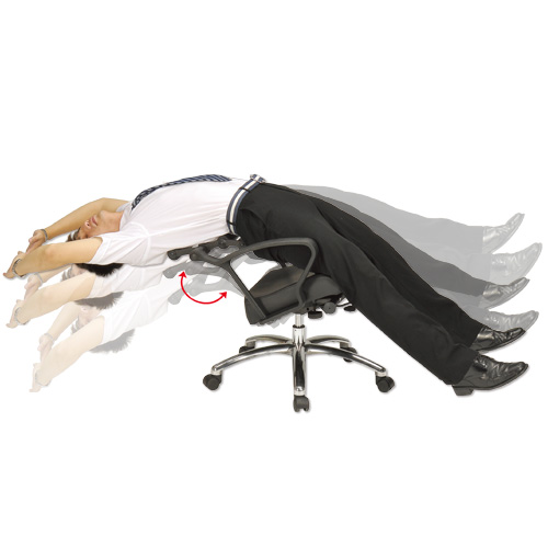 LZC Health-enhancing OA Chair(Extension motion picture) LZC Health-enhancing OA Chair(Extension motion picture)