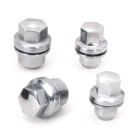 Car Bolts/Nuts 