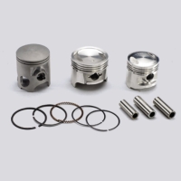 Pistons,  Piston Rings