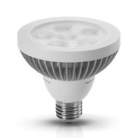 10W PAR30 LED Lamp