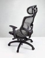 LD-001 CHOPIN-series Ergonomic Computer Mesh Chair
