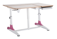 BK-L306-A Chopin-series study desk