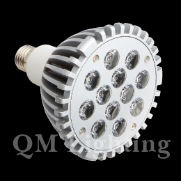 LED Bulb PAR38 (12*1W)