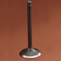 Engine Valve