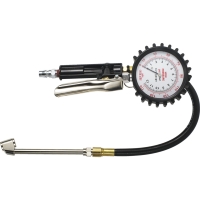 Multipurpose Tire Gauge