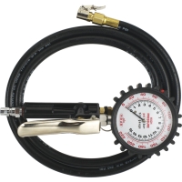 Multipurpose Tire Gauge